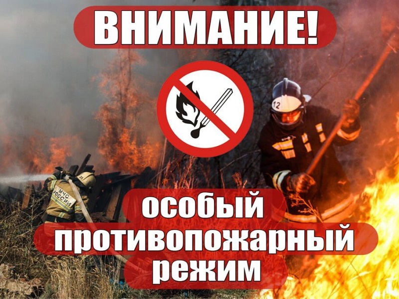 На территории Донецкой Народной Республики установлен особый пожароопасный режим.