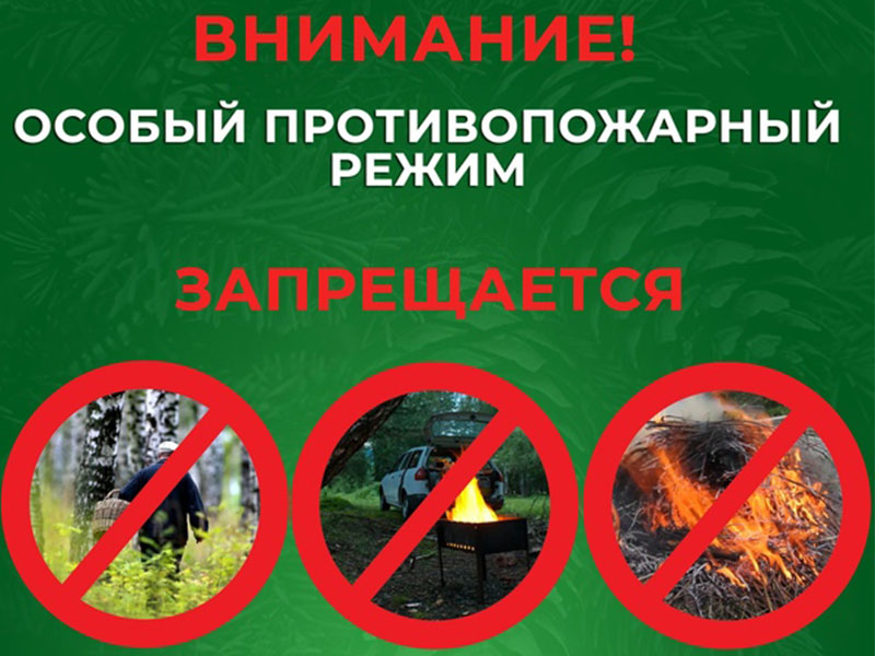 На территории Донецкой Народной Республики введен особый противопожарный режим.