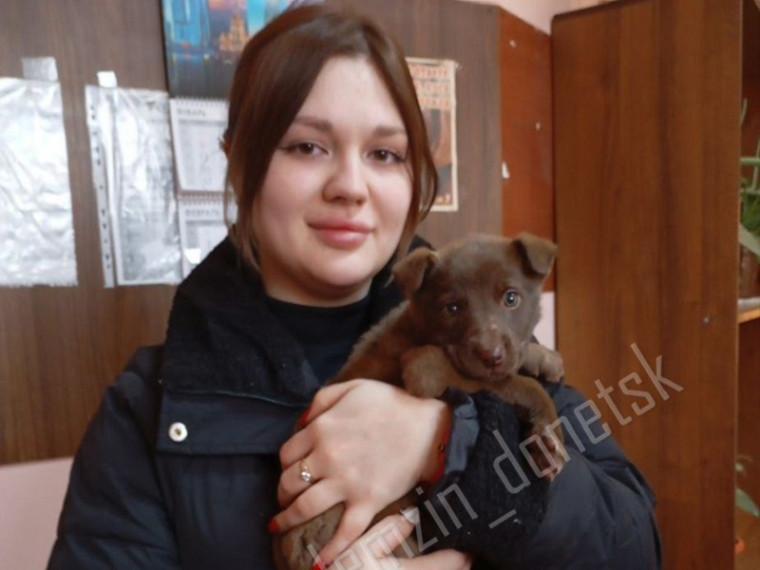 Подарим бездомным животным шанс на новую жизнь!. Подарим бездомным животным шанс на новую жизнь!.